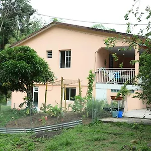 Maison Lavanne Saint-Joseph