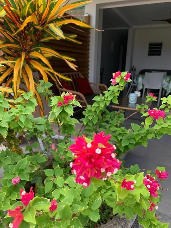 Le Tropical Appartement 1 Ou 2 Chambres contacts